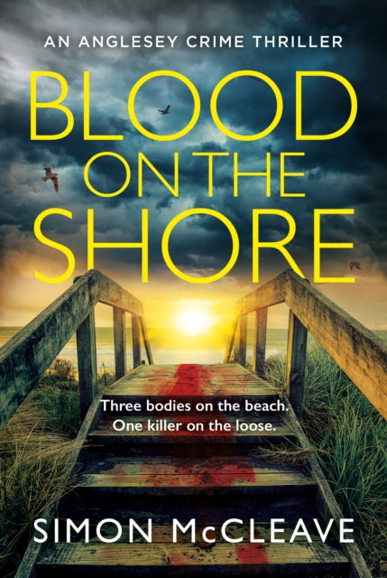 Blood on the Shore : Book 3-9780008524883