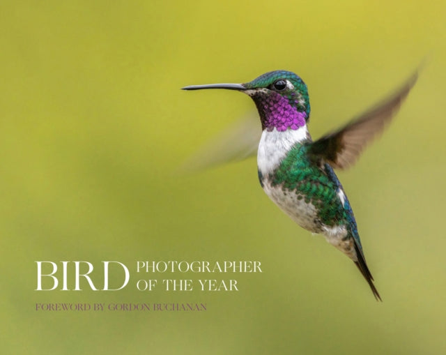 Bird Photographer of the Year-9780008649968