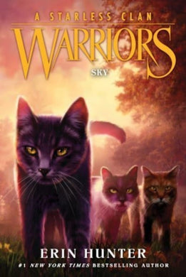 Warriors: A Starless Clan #2: Sky : 2-9780063050174