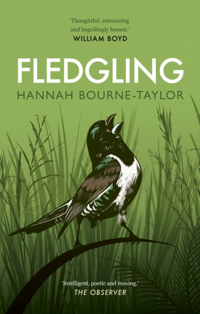 Fledgling-9780711266681