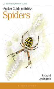 Pocket Guide to British Spiders-9781399406987