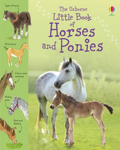 Little Book of Horses and Ponies-9781409508694