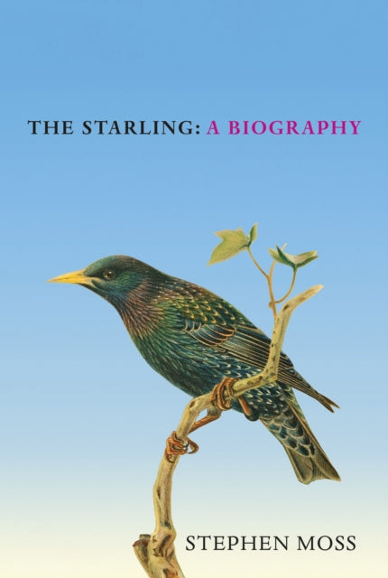 The Starling : A Biography-9781529908282