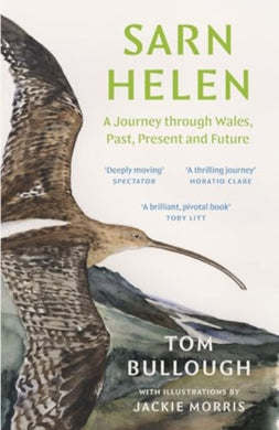 Sarn Helen : A Journey Through Wales, Past, Present and Future-9781783788118