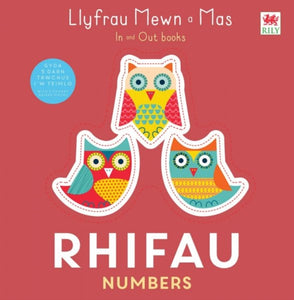 Rhifau / Numbers-9781804163764