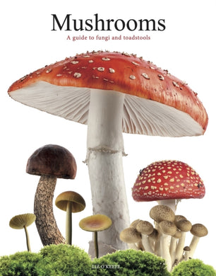 Mushrooms : A guide to fungi and toadstools-9781838864392