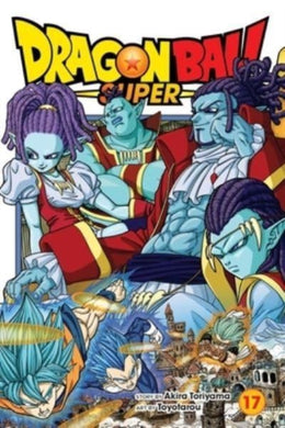 Dragon Ball Super, Vol. 17 : 17-9781974734511