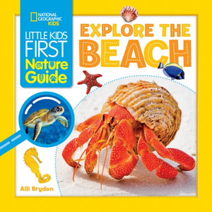 Explore the Beach-9781426373688