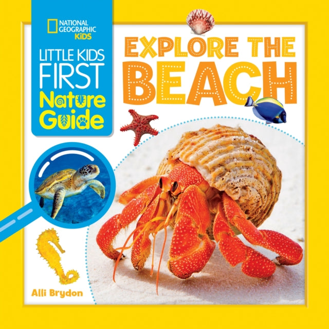 Explore the Beach-9781426373688